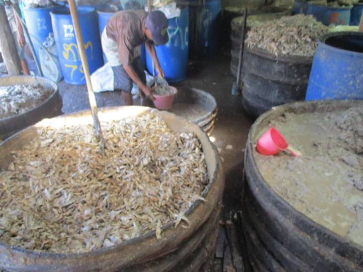 15740842_10155679792243242_4953397384693377762_n