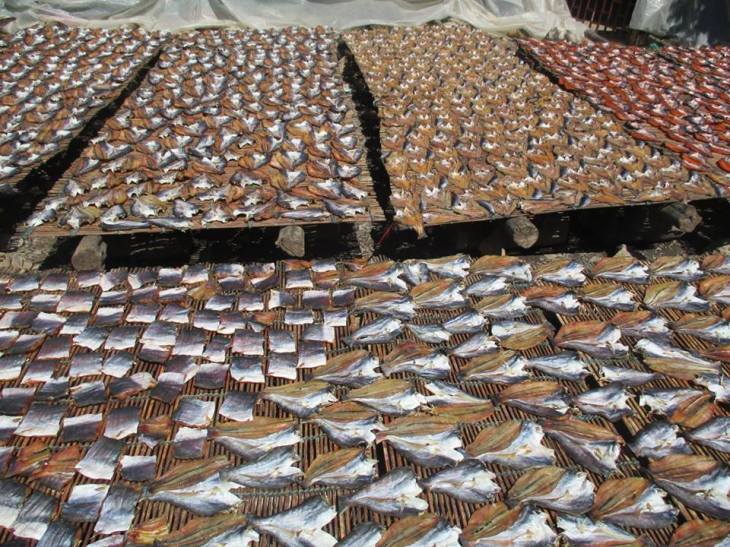 15781606_10155679801858242_3805050982799878823_n