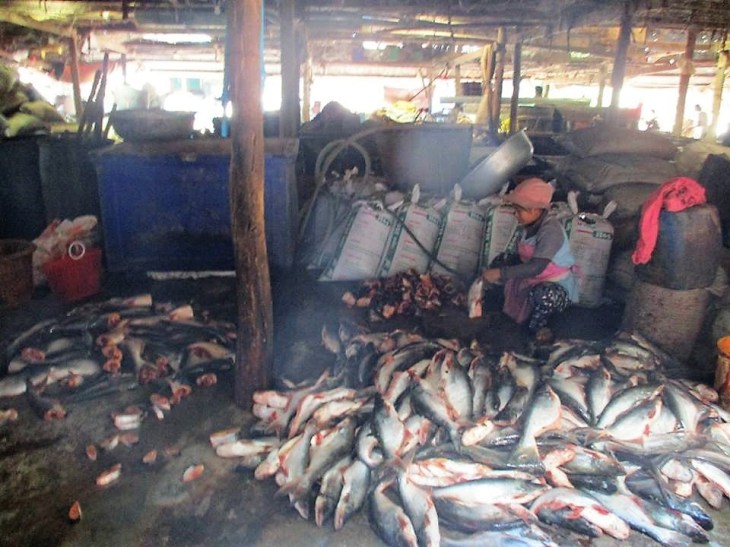 15822942_10155679795588242_6173007203056582664_n