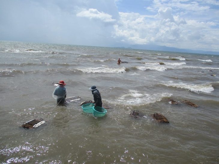 15825984_10155679812388242_4627341089753551909_n